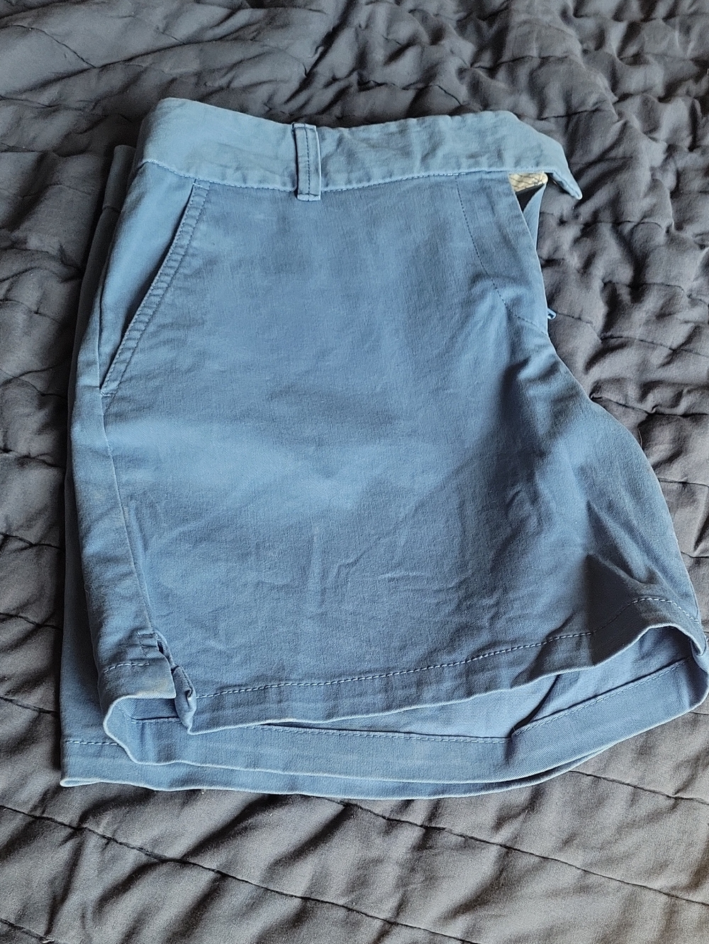 LOFT Light Blue Women's Flat Front Shorts